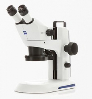 Loupe Binoculaire d'Entomologie STEMI 305 ZEISS