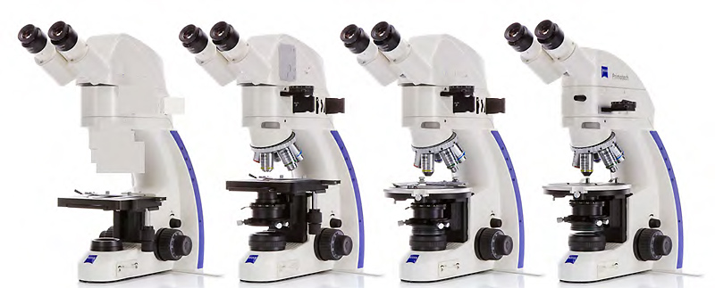 Microscope binoculaire BioBlue, EUROMEX® - Materiel pour Laboratoire