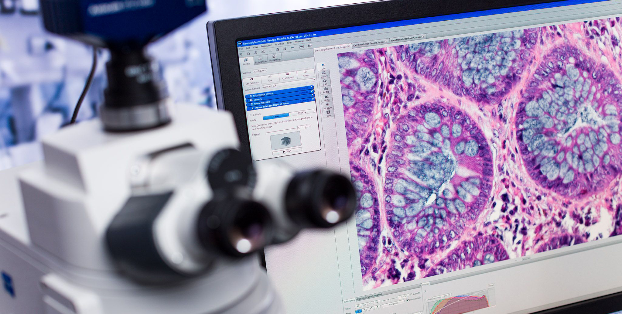 Comment Fonctionne la Caméra dun Microscope Numérique ?