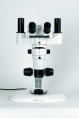 Loupes binoculaires  zoom Micros