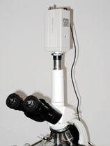 MICROS Cam 5000 - Microscope Concept