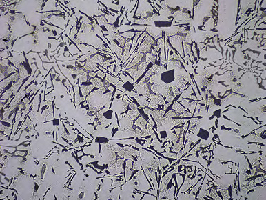 Primotech ZEISS échantillons épais