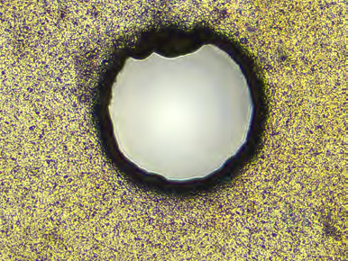 Primotech ZEISS chantillons lectroniques