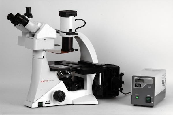 Microscopes à Tête Trinoculaire