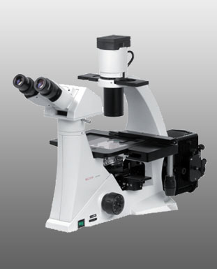 Microscope Inversé - Le Binoculaire