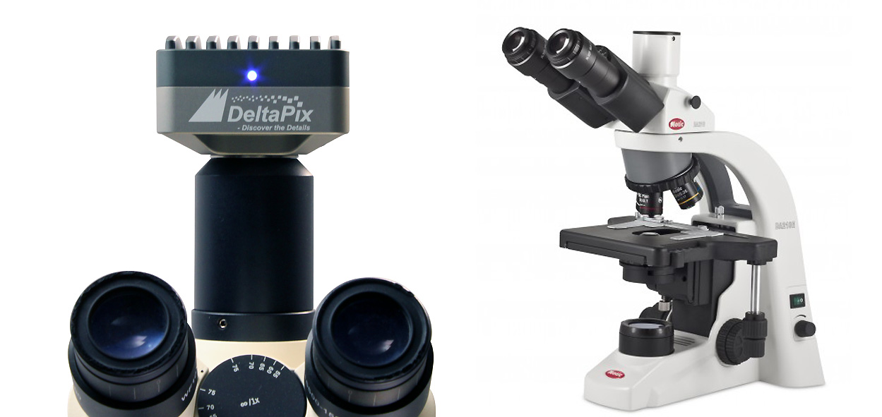 Microscope de parodontie
