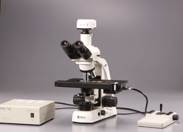 Microscopes numériques pour vos observations