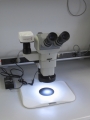 Loupes binoculaires / Stromicroscopes - Promotions