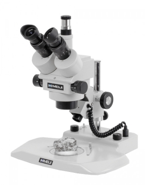 Stromicroscopes ZEISS SteREO Discovery V20