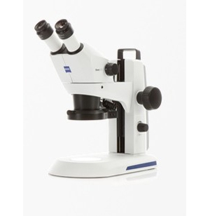 Stéréomicroscopes ZEISS Stemi 305