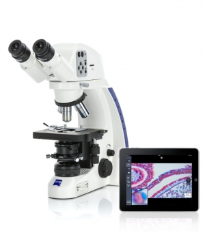 Microscope Binoculaire Smart 1 Realux pour l'Enseignement