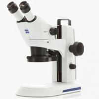 Loupe Binoculaire d'Entomologie Stemi 305 Zeiss