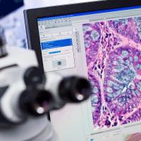 Comment Fonctionne la Cam�ra d�un Microscope Num�rique ?