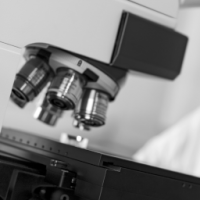Microscope Optique pour le Contrle d'Amiante