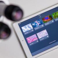 Logiciel ZEISS Labscope