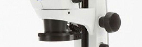 Loupe Binoculaire d'Entomologie Stemi 305 Zeiss