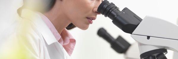 Utilisation de Microscope dans les Sciences des Matriaux 