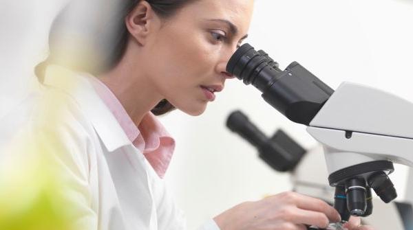 Utilisation de microscope dans les sciences des matériaux 