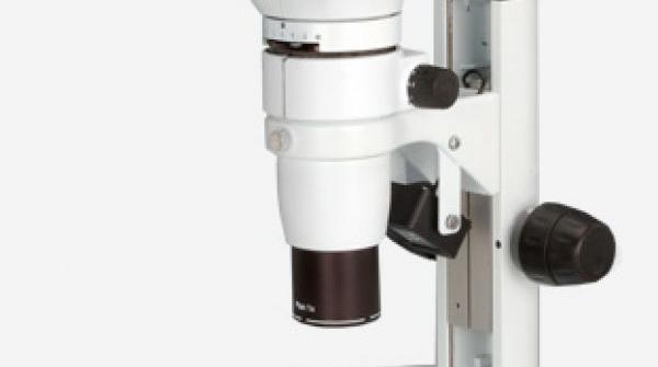 Stéréomicroscope avec Caméra Intégrée