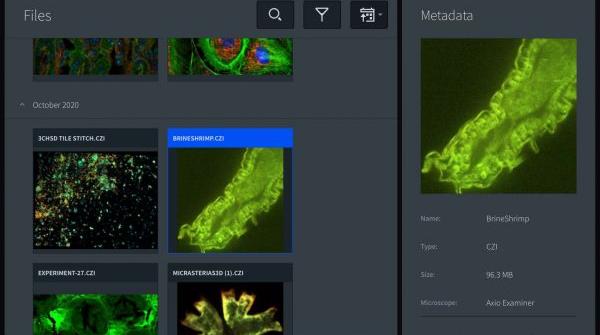 Logiciels Cam&eacute;ra Microscope - Logiciels de Microscopie