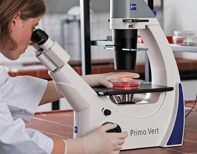 Microscope Zeiss Primovert