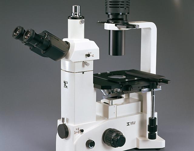 Microscope Meiji TC5000