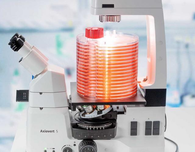 Un microcope  l\'preuve du temps