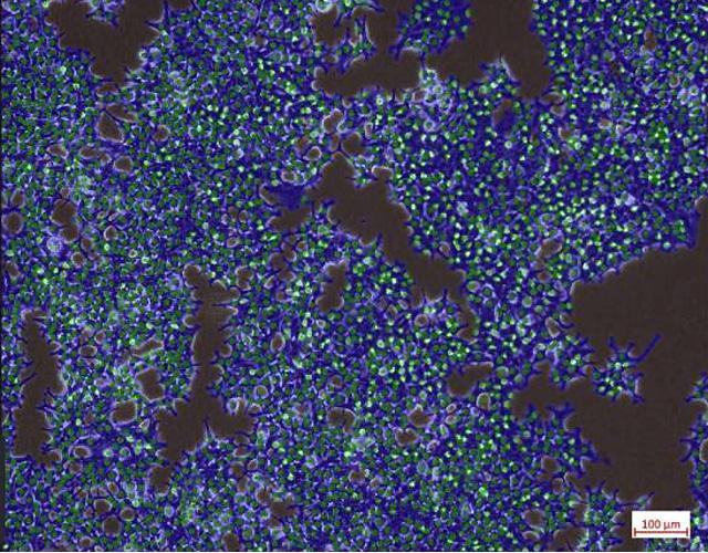Amliorez vos expriences sur les cellules