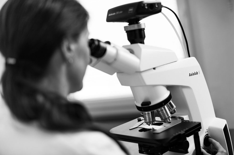 Microscopes optiques droits