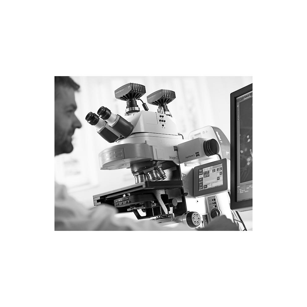 Microscope Zeiss Axio Imager 2