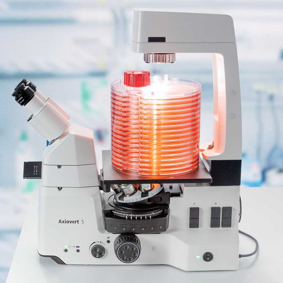Un microcope  l\'preuve du temps